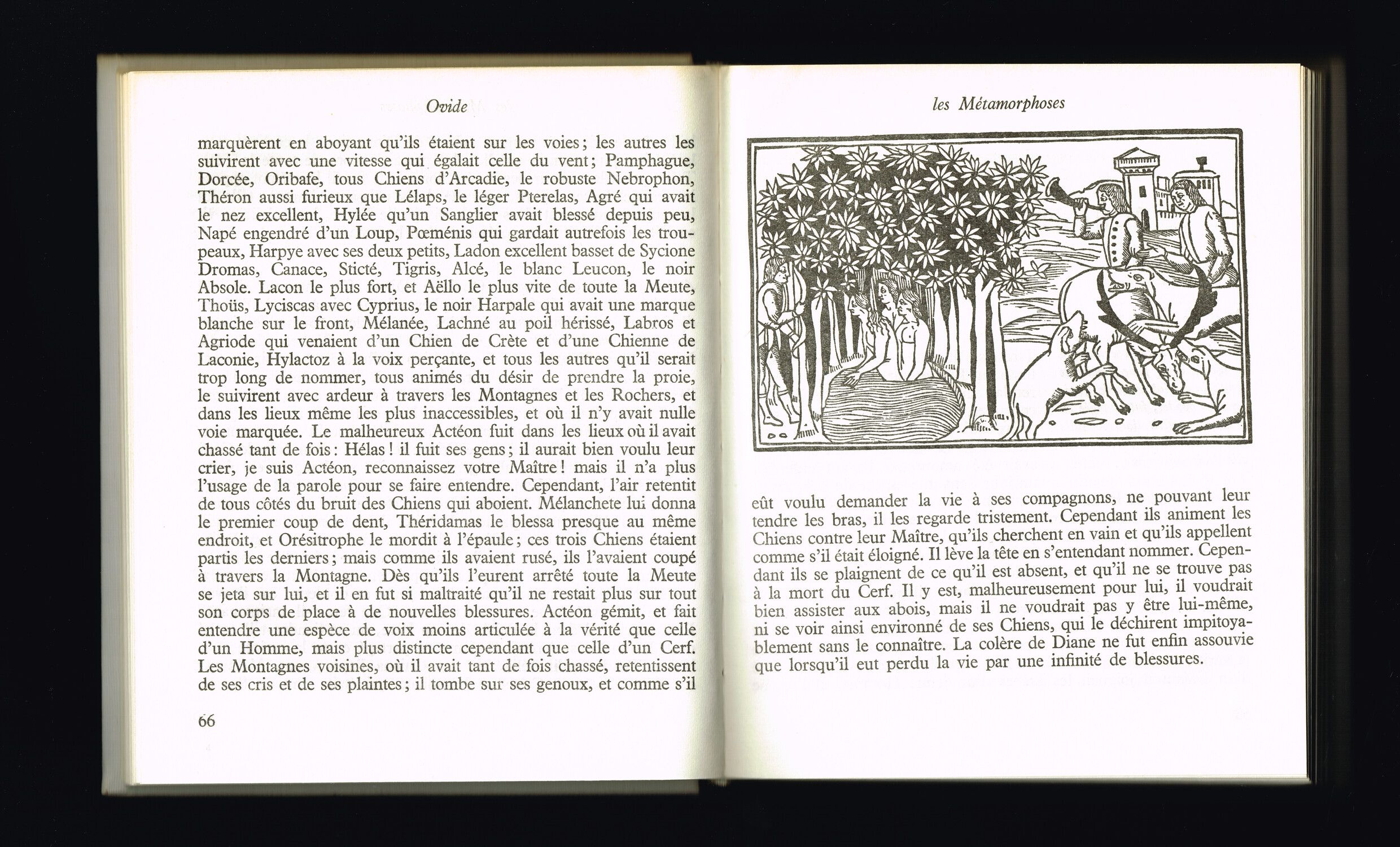 Description de l'image