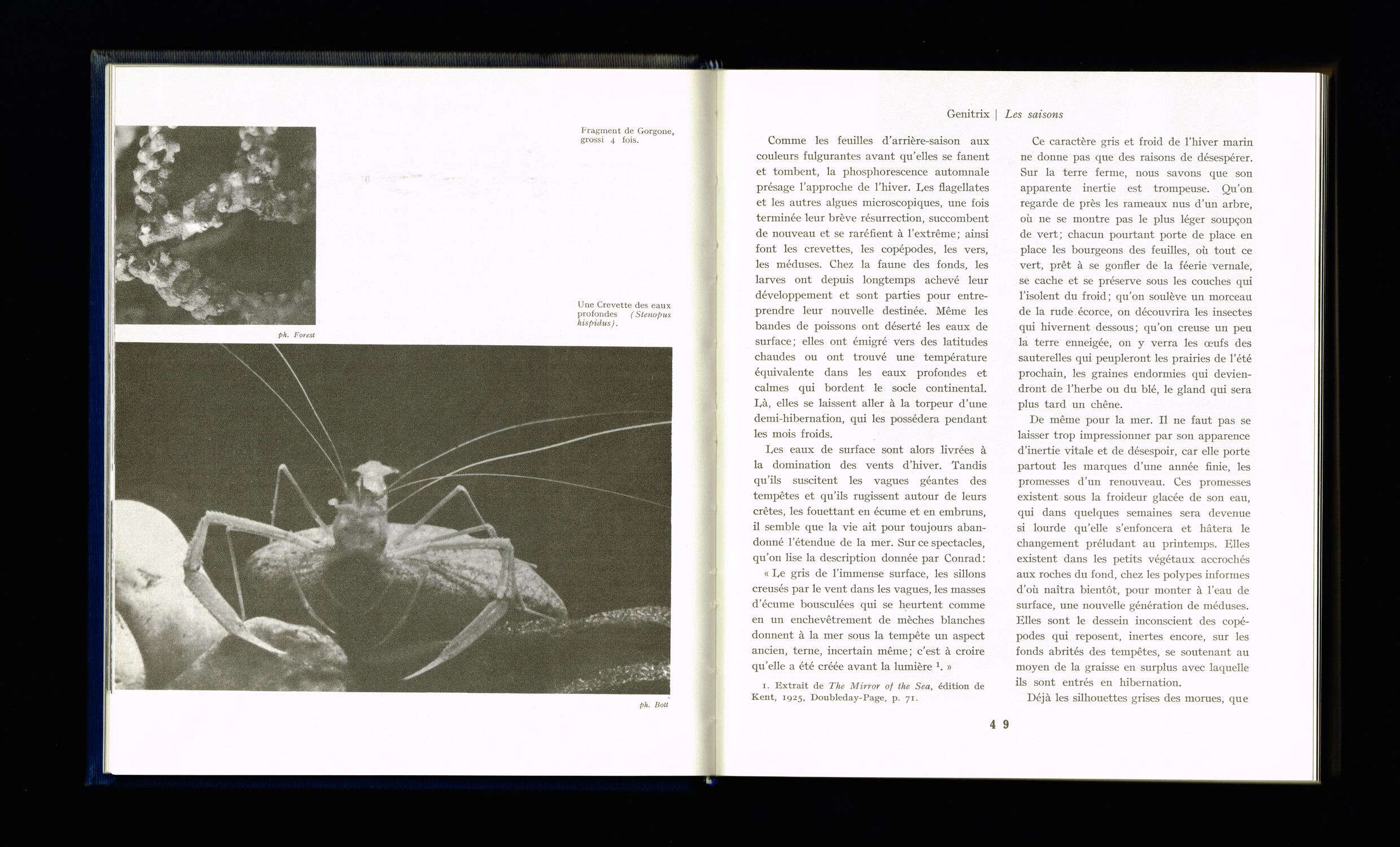 Couverture de L'Ymagier : composition typographique au titre en grandes capitales sur fond blanc