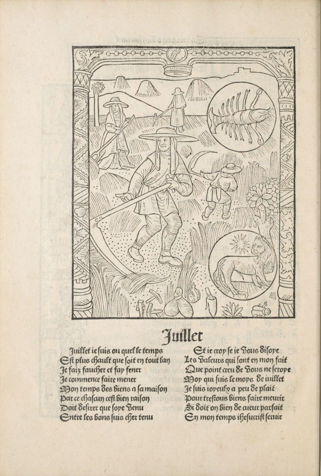 Description de l'image