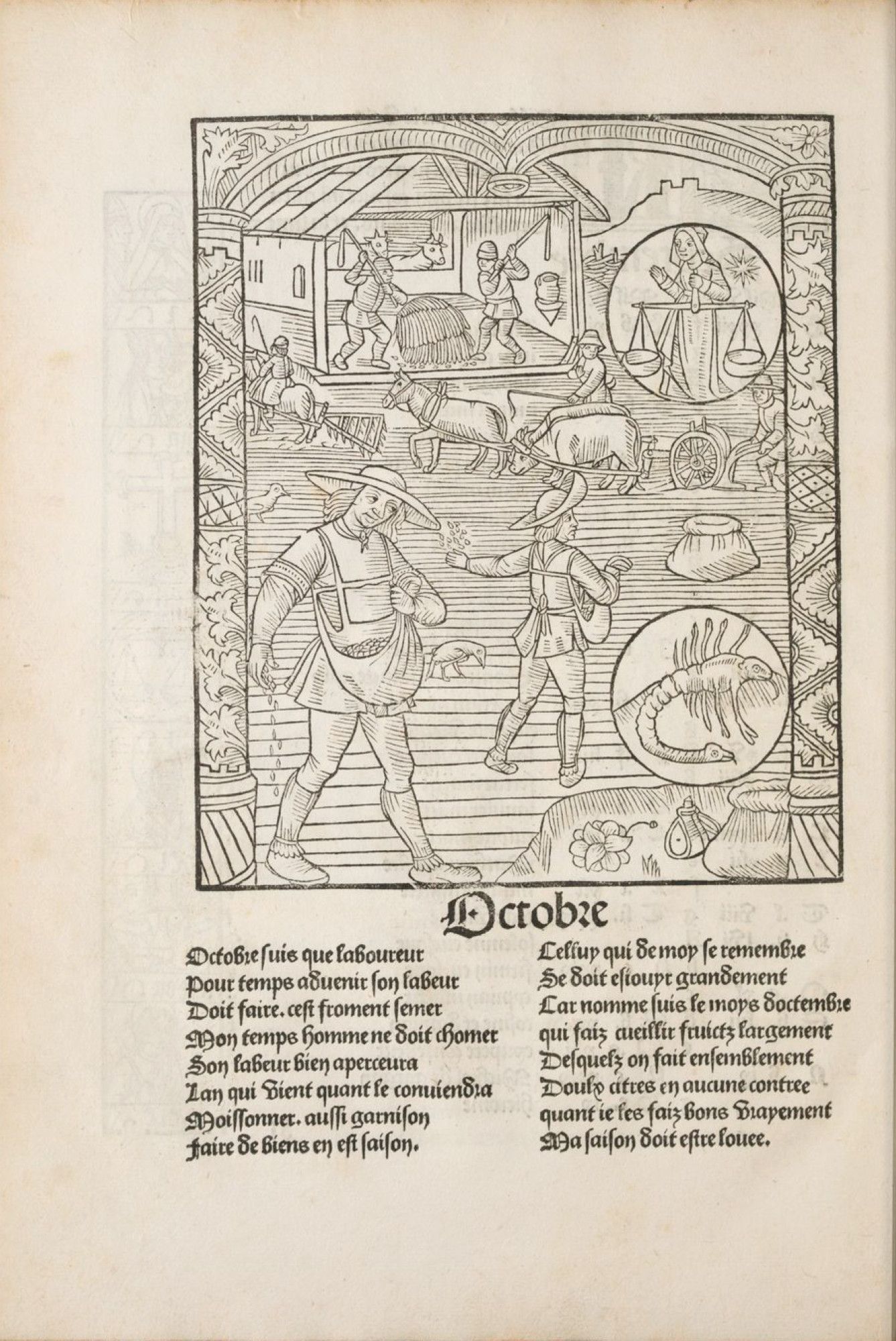 Description de l'image