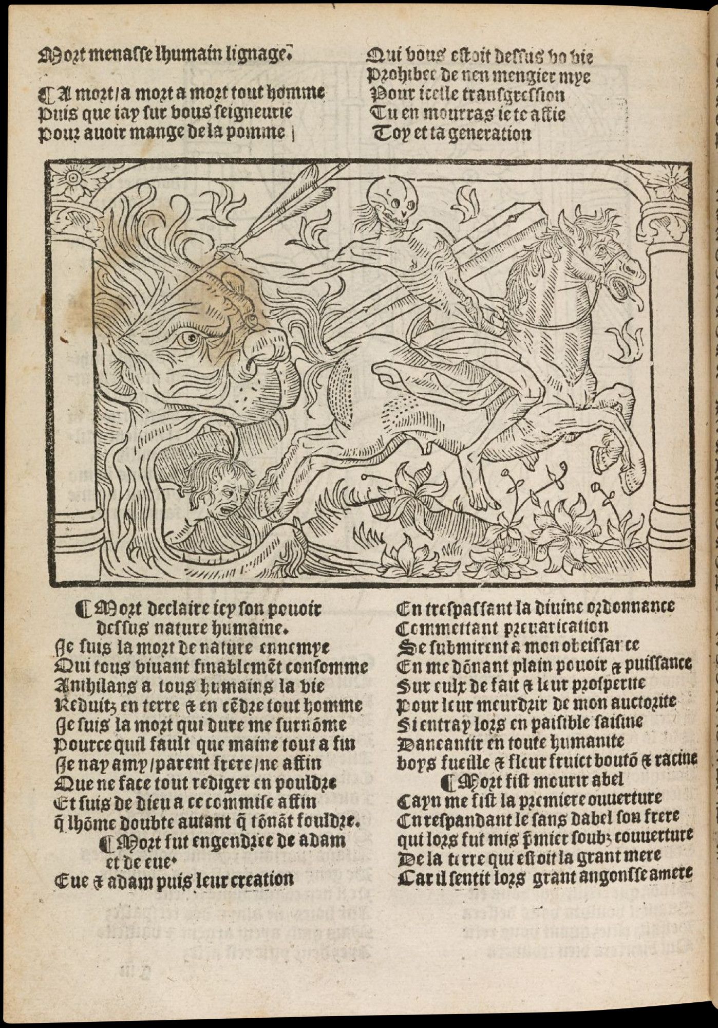 Description de l'image