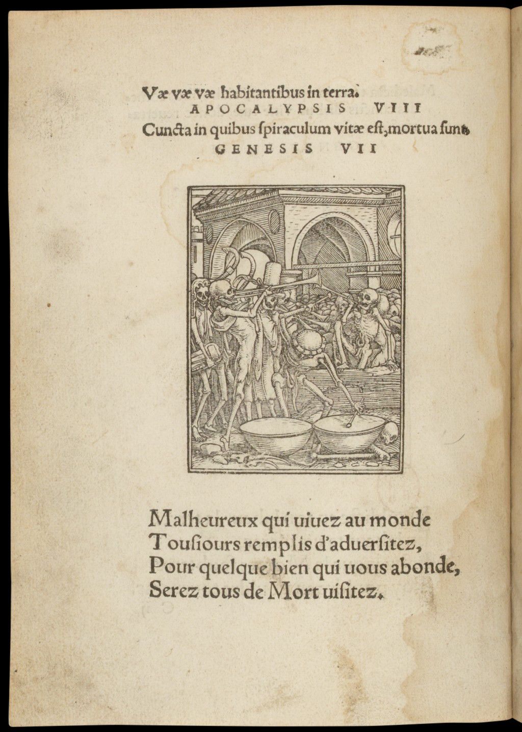 Description de l'image